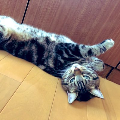 YuKi_A2u's profile picture. ClariSRoom会員/大学3年/抹茶好き/EGOIST/LiSA/ClariS/TrySail/ReoNa/ディズニー/ウイイレ、プロスピA/サッカーはプレミアリーグとバイエルン/野球は楽天と巨人! 岸ファンです!!! 気軽に絡んでください