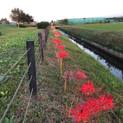 hyperforce1's profile picture. like a happy