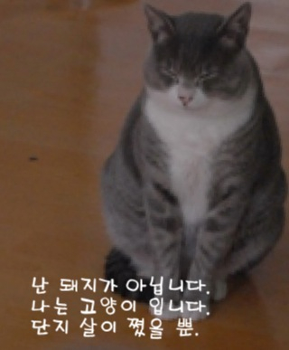 PodoMilky0705's profile picture. 미드 /일드 /아이온 사크미스 천족 호법성 /컬투쇼 
#트친당_ / #강서당_ / #벙개당_ / #솔로당_ / #트위터맛집_ / #맞팔당_ / #반말한당_ / #커피맛있당_5612호 / #호법이당_ / #만팔로워당_ / #각우당_ / #맞팔당_