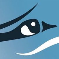 Safe and Caring (@safeandcaring) 's Twitter Profile