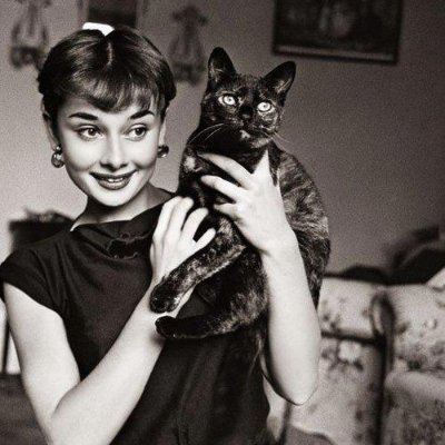 MalenaMalosa's profile picture. Orgullosa Militante Comunista. A la Izquierda, siempre a la izquierda