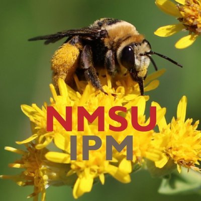 New Mexico State University Integrated Pest Management (IPM) Extension Program focused on promoting sustainable pest management for New Mexico. @Dr_Skidmore