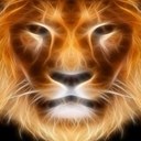 warren Craig - @wozzacraig - Twitter