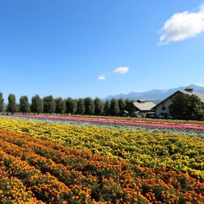 福島県生まれです