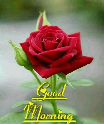 Gomathi76050296's profile picture. 