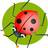 shadien's profile image