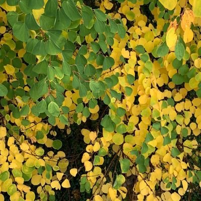 _nobodyme_'s profile picture. 