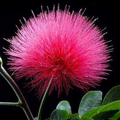 aziz99714's profile picture. 