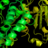 StAndrewsBSRC's profile image
