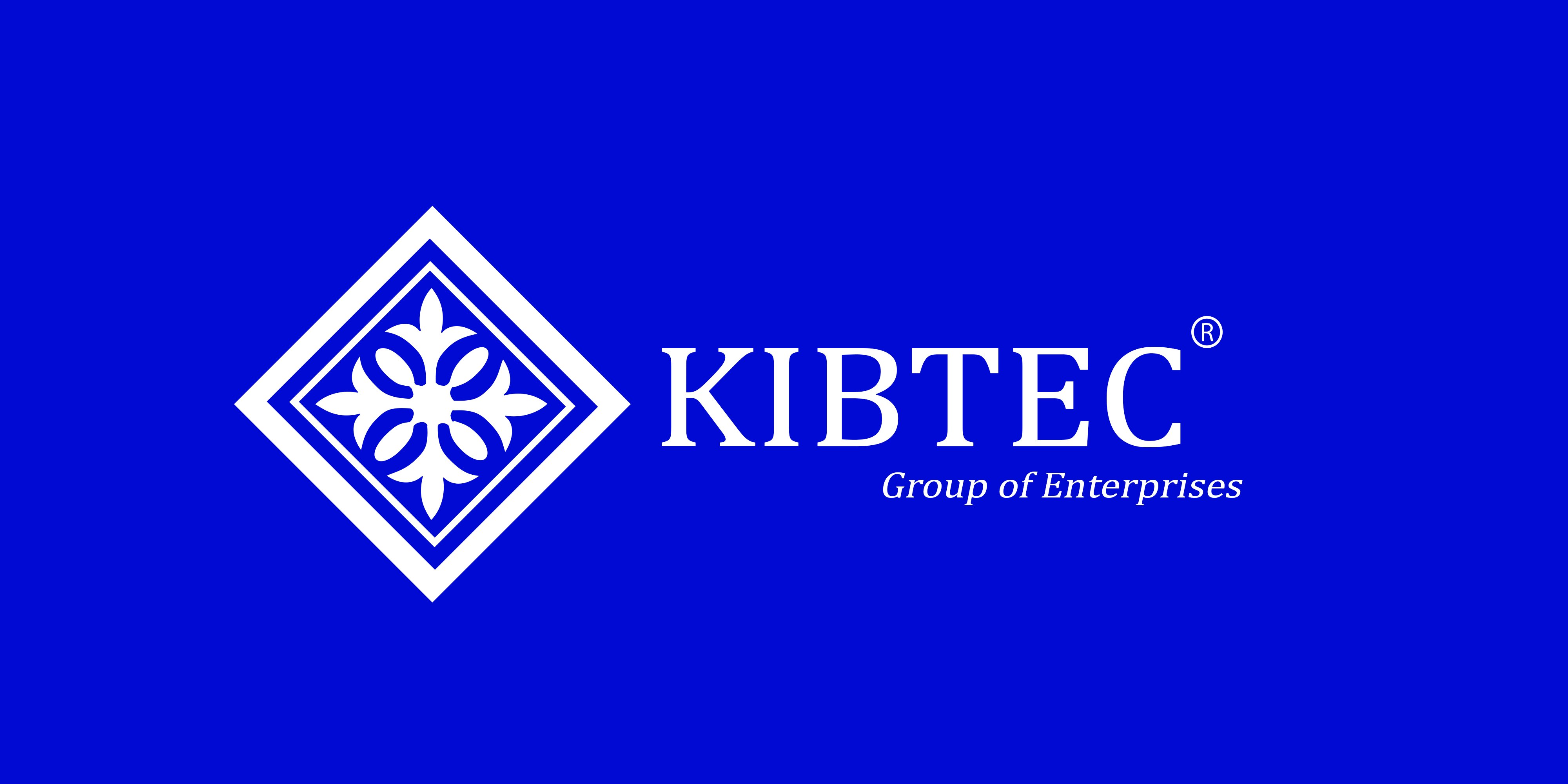 This platform we intend to build would be a conglomerate of businesses that still maintain their individuality and yet still gel together to form KIBTEC_GH.