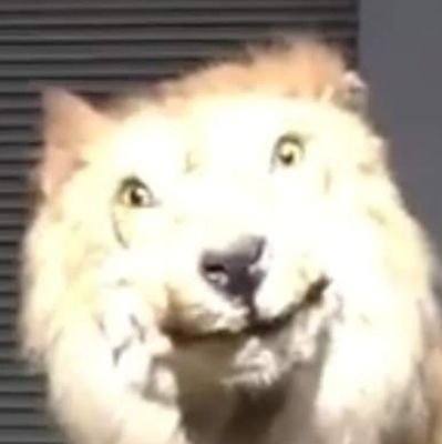 Manuelamu3's profile picture. Experto en jodo las piedras