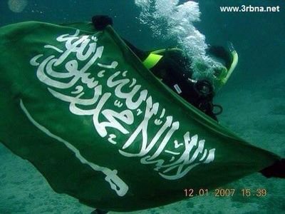 AAlqsemy's profile picture. ‏‏صيدلي جامعة أم القرى