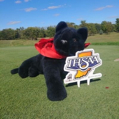 The Official Stuffed Animal of NorthWood High School's Girls Golf Team, Lover of Cookies and Rising Internet Celebrity