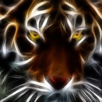 Christina Dalla Palu (@doverproud) 's Twitter Profile