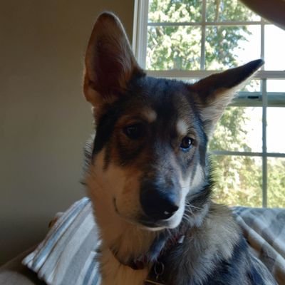 Tyler Gilbert Profile