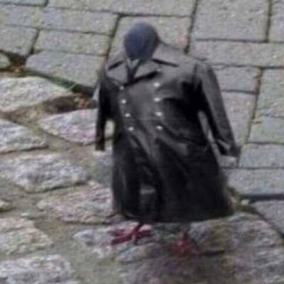 SomeOne18679225's profile picture. Don’t mind me, just looking around.