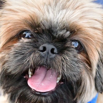 AnnieNe77515806's profile picture. LGI