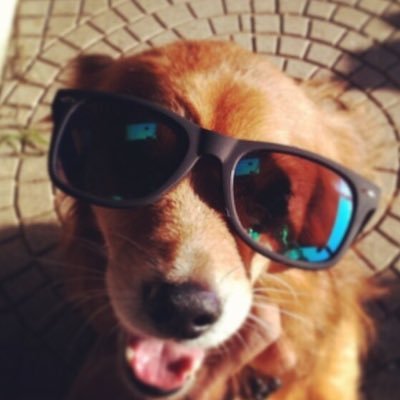 rocker jonさんのプロフィール画像