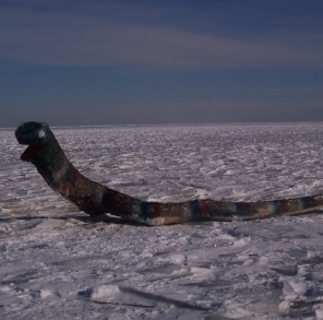 NorthEndNessie's profile picture. Pelee Island's favourite winter resident.