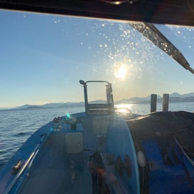 KompkoffMichael's profile picture. 