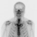 @Zeppi@brettspiel.space (@falke_zeppi) Twitter profile photo @Zeppi@brettspiel.space (@falke_zeppi) Twitter profile photo