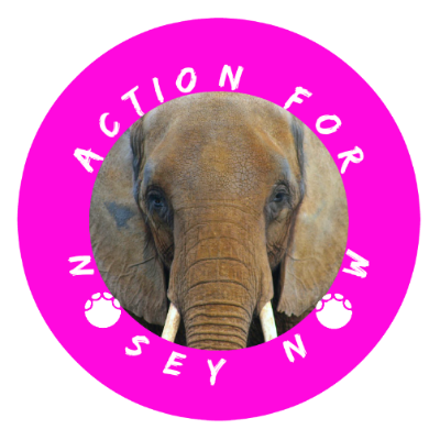 We focus on actions that'll lead to the rescue of #Nosey the #Elephant! https://t.co/kaSnTiwfMu https://t.co/y1GEK5zH7R