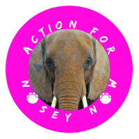 Action For Nosey Now(@ActforNosey) 's Twitter Profileg