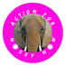 Action For Nosey Now (@ActforNosey) Twitter profile photo