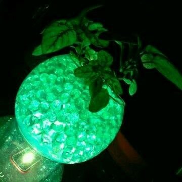 伝説の海賊 Hwqr9jmcbphhjoe Twitter 伝説の海賊 Hwqr9jmcbphhjoe Twitter