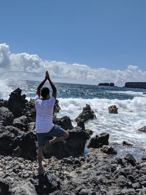 Kaushik_ManUtd's profile picture. Vegan for the animals, the planet, and for health; Musician; Man Utd fan