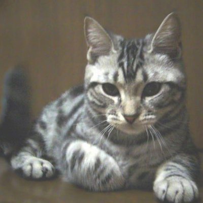 るびさんのプロフィール画像