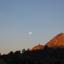 Elaine Silver - @silverelaine - Twitter