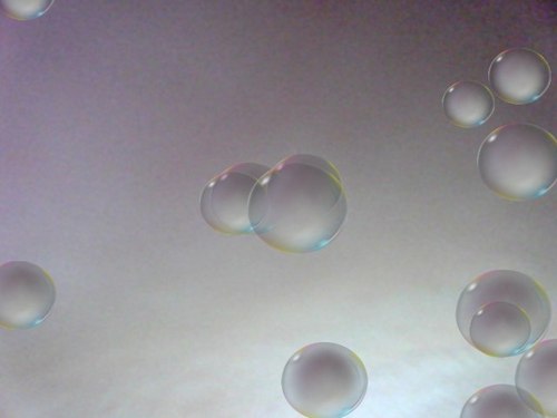 deadly_spatulas's profile picture. WORMS