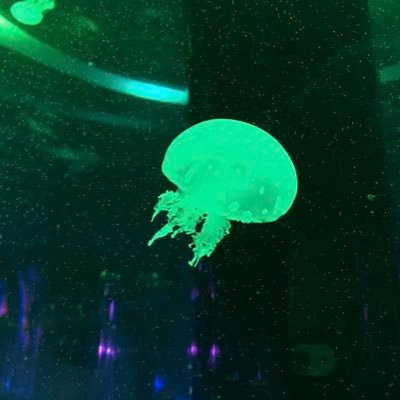 vimh13's profile picture. 社会人人生の折り返し地点で、次の20年の生き方を考えるアカウント。転職、資産運用と、子育て後半戦。