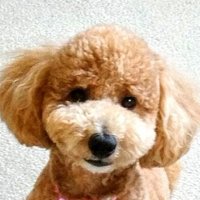 misamisa(@d1_misamisa) 's Twitter Profile Photo