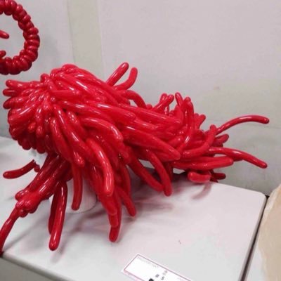 遊suke Auf Twitter ご注文のトイプードルとうさぎを作りました バルーン バルーンアート Balloon Balloonart うさぎ トイプードル