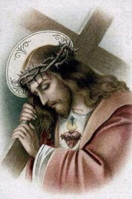 EpilefVa's profile picture. 