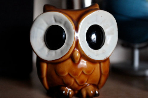 arseninlalala's profile picture. Soy un mono.