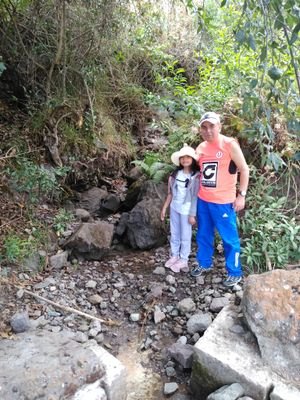 MikeDarly's profile picture. Jesús mi fiel amigo