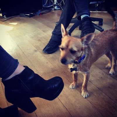 pokkan2400's profile picture. ‘Every moment spent with you, is a moment I treasure’