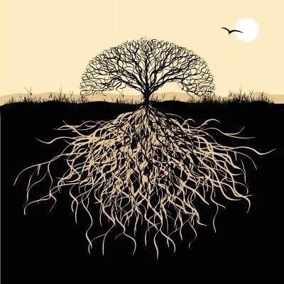 tdmahloko's profile picture. 