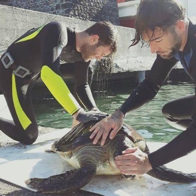 PhD student at @Ifremer_fr for marine animals conservation 🐢 Electrical engineer | Open Bio-logging hardware fellow
Passionate about marine life 🐋