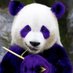 pandariastore (@pandariastore) Twitter profile photo