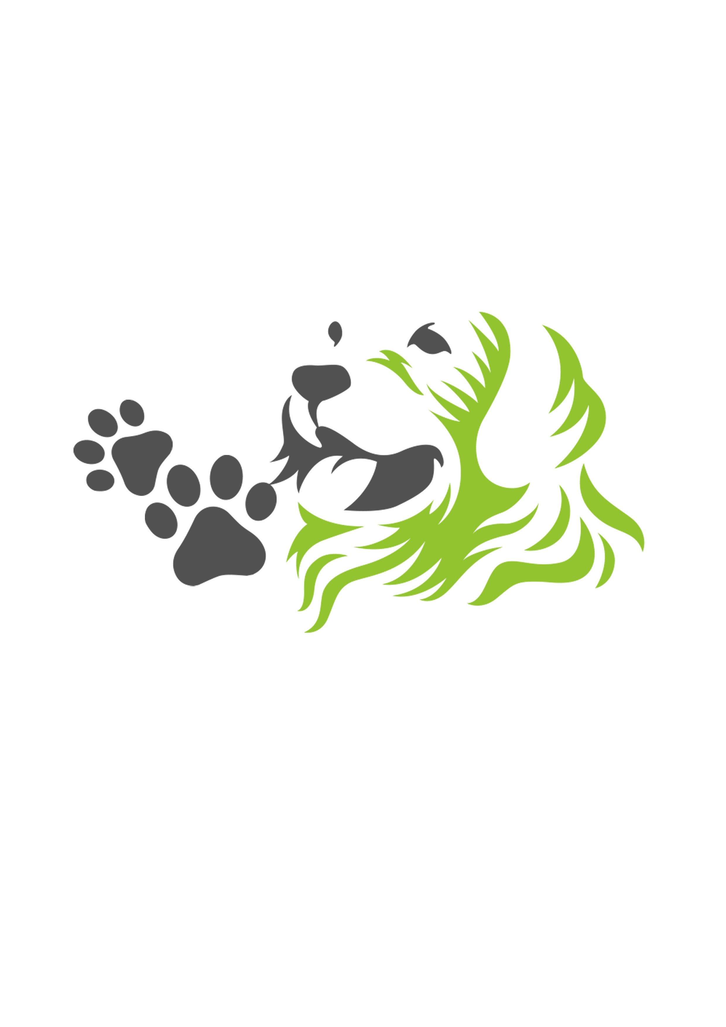 Adelaide doggy adventure service, force free training and love for all animals.