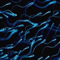 Imperial Andrology Research Group (@infertmres) 's Twitter Profile