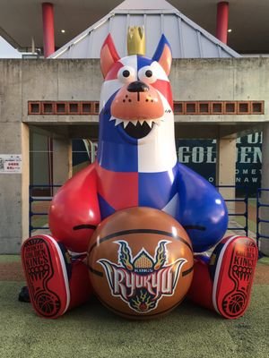 ageyoshiage's profile picture. 琉球ゴールデンキングスブースター🏀10.12.18推し♥️猫飼ってます(=ﾟωﾟ=)無言フォローすみません。宜しくお願いします！ 0️⃣ザキ様は永遠の推しです❤(ӦｖӦ｡)