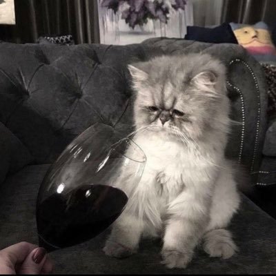 ___pcpp's profile picture. 20↑ 好きなものを好きなだけ。