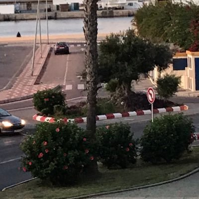 senaluque_sena's profile picture. 