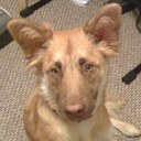 Catherine Shoffner - @shoffygirl - Twitter