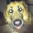 Justy1717's profile image